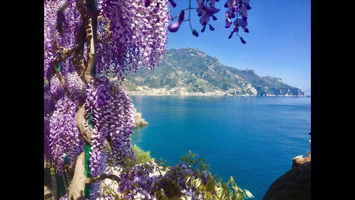 Villa Petit Ludovica Ravello Dış mekan fotoğraf