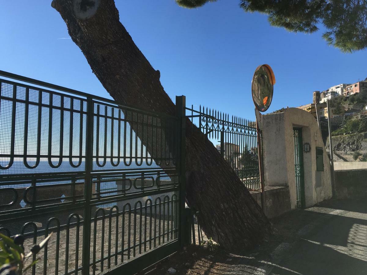 Villa Petit Ludovica Ravello Dış mekan fotoğraf